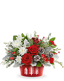 Teleflora's Snowy Pines Centerpiece